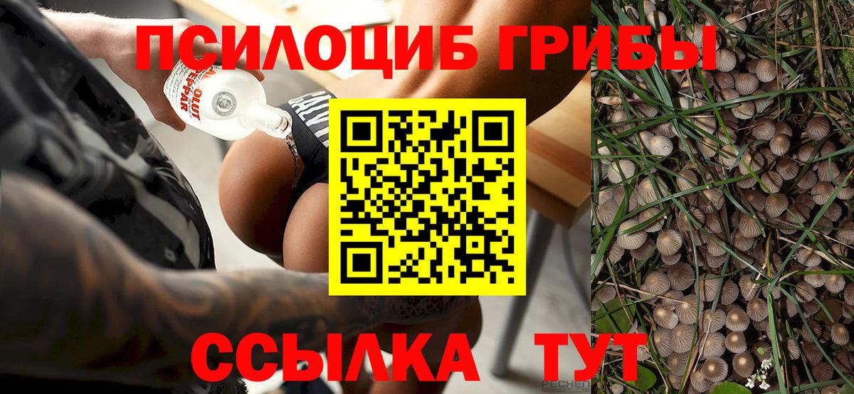 Мегион  Галлюциногенные грибы Magic Shrooms  Вход с VPN 